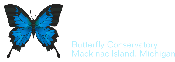 Wings of Mackinac